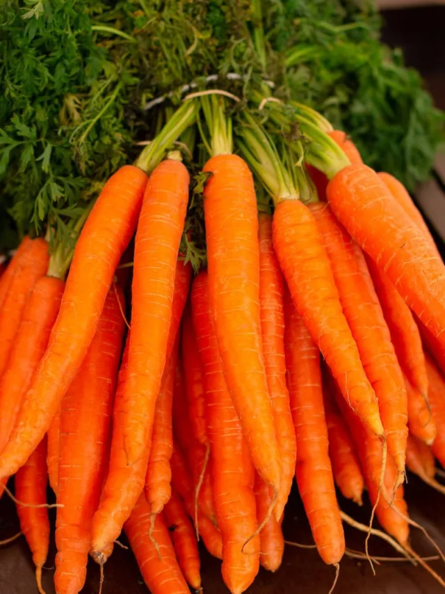 CARROTS – A NUTRIENT-PACKED DELIGHT IN EVERY BITE!